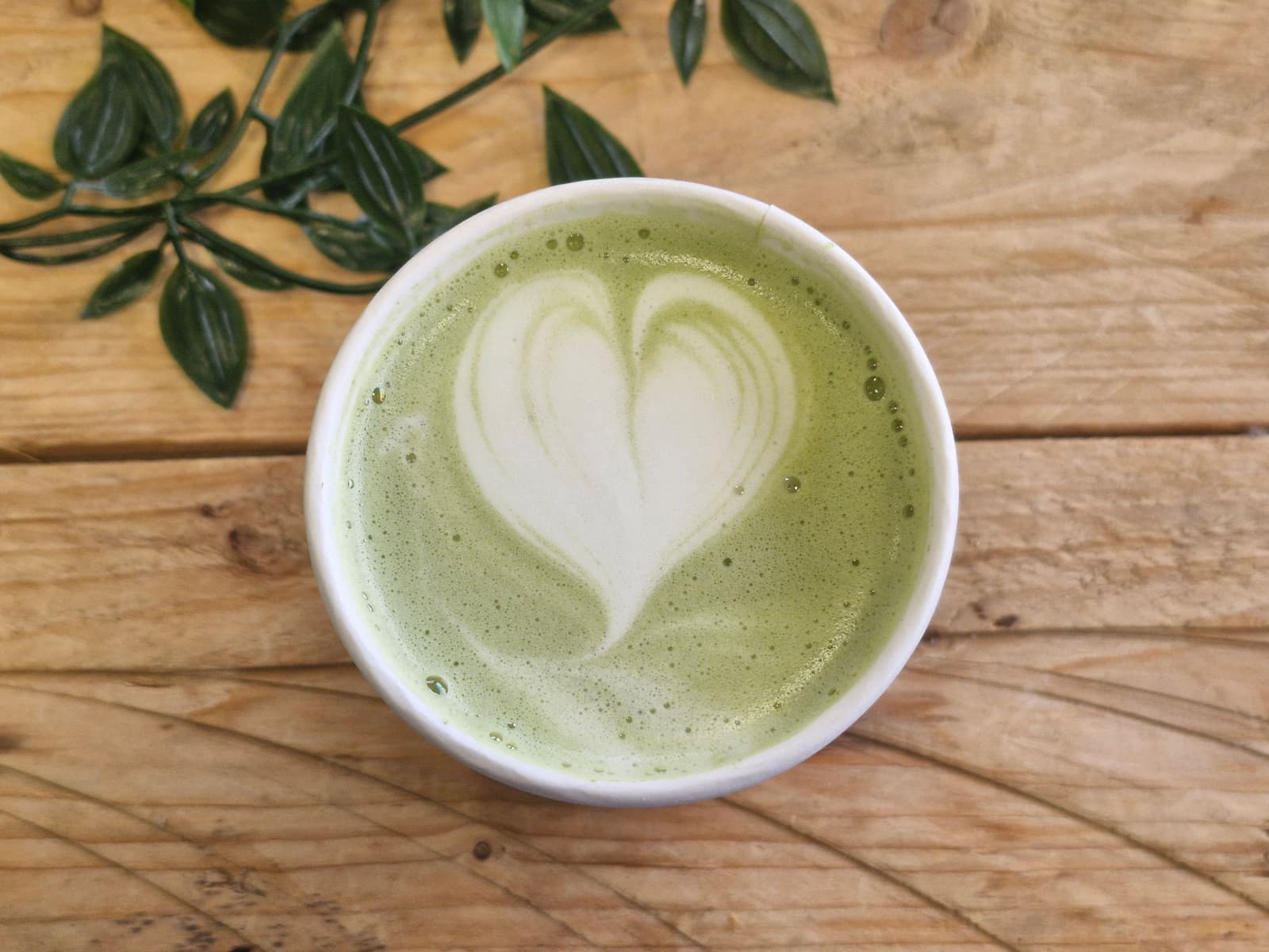 Classic Matcha